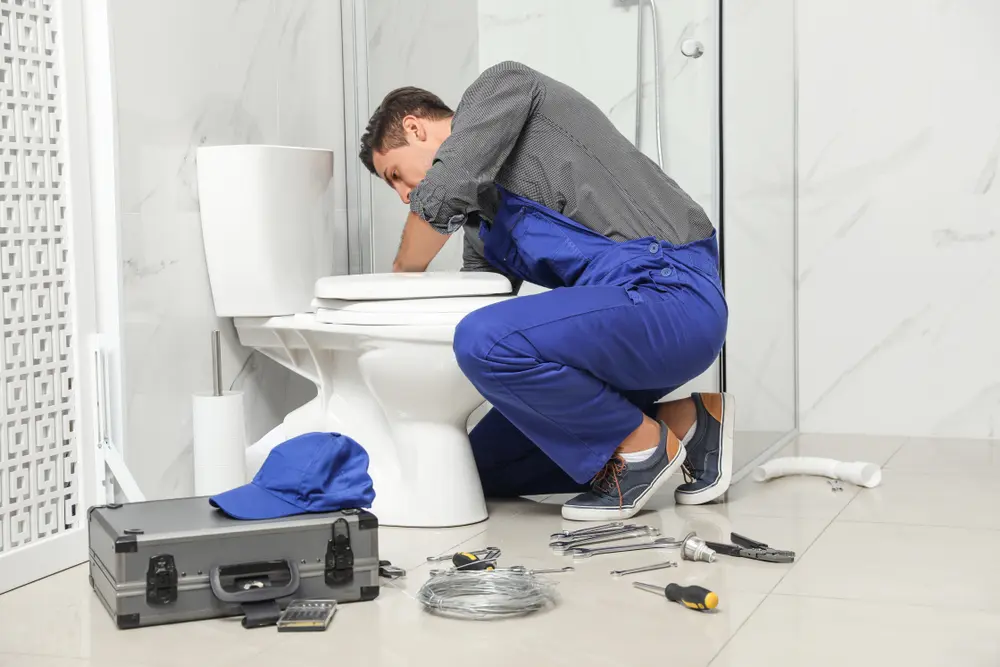 Toilet Installation in Woodside